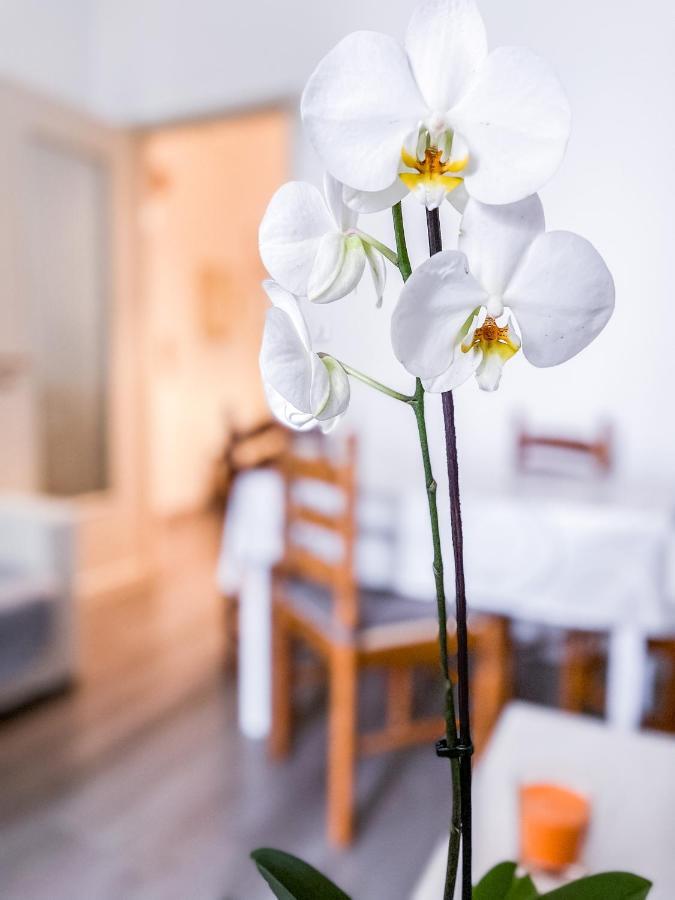 Myhouse Inn Marche - Affitti Brevi Italia Turin Exterior foto